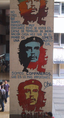 'I don't believe that we are close relatives, but if you shake with indignation every time an injustice is committed in the world, then we are comrades, which is the most important thing.' Che