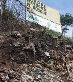 Many of the families displaced off their land by the pipelines have moved to Medellin, where they live on the city’s rubbish tip in the Moravia district. They have to send their children out to sell sweets at traffic lights. They are obliged to pay for the right of a day’s work recycling bits from the incoming rubbish, from which they might clear £3.